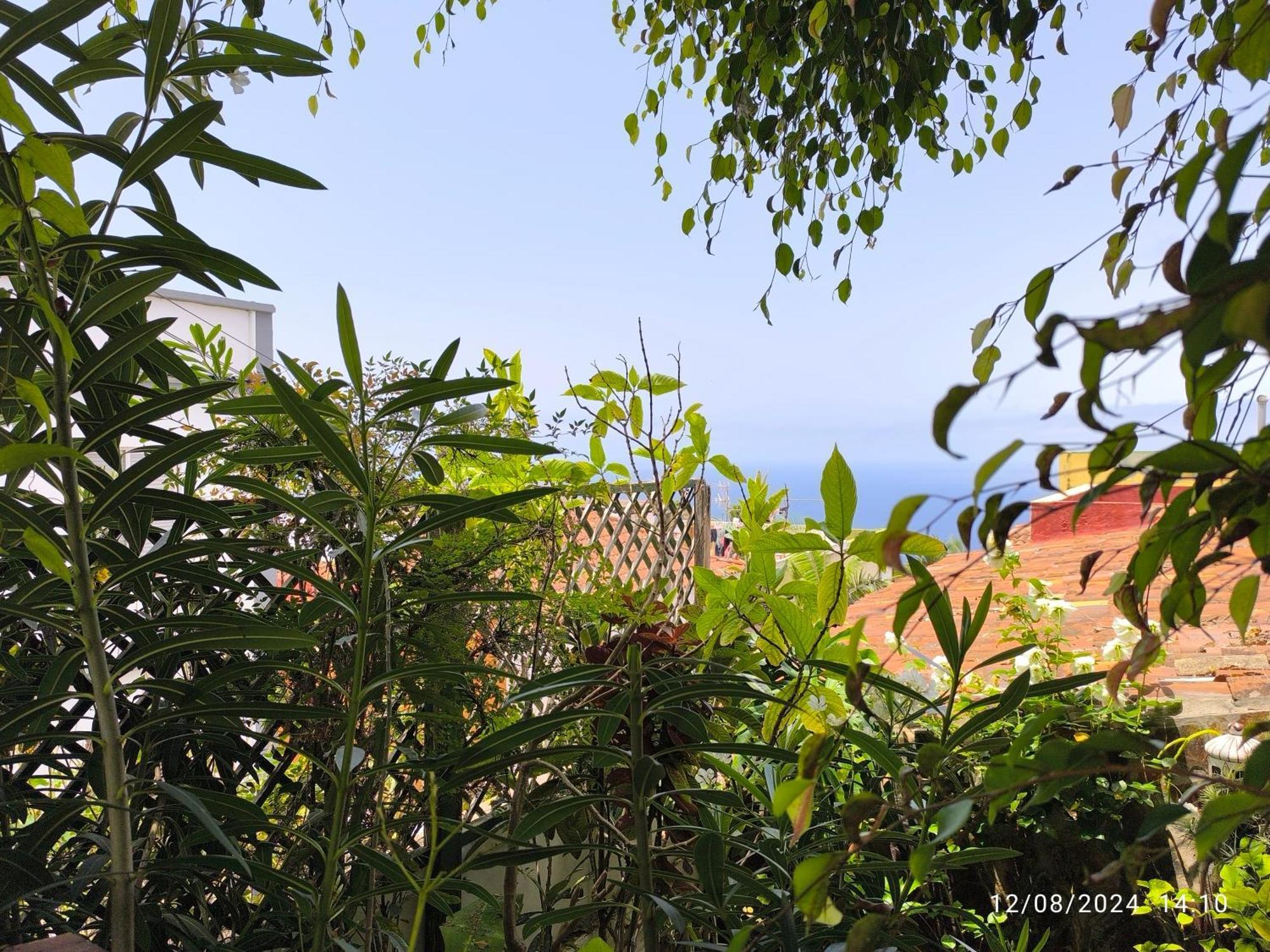 Casa Flora Garden Studio Sauzal Zewnętrze zdjęcie